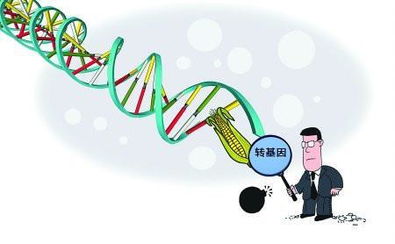 利用恐懼誤導消費者 宣傳非轉基因 廣告被禁