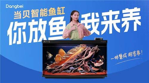 當(dāng)貝智能魚(yú)缸創(chuàng)意廣告席卷北上廣深 多地強(qiáng)勢(shì)上線